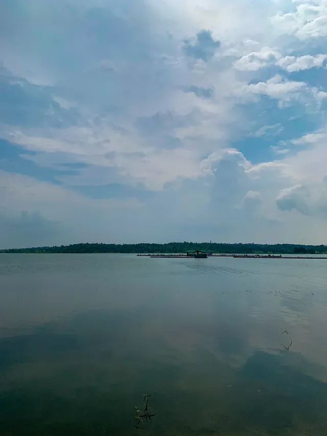 Thumbnail for nwf-myqp-oan