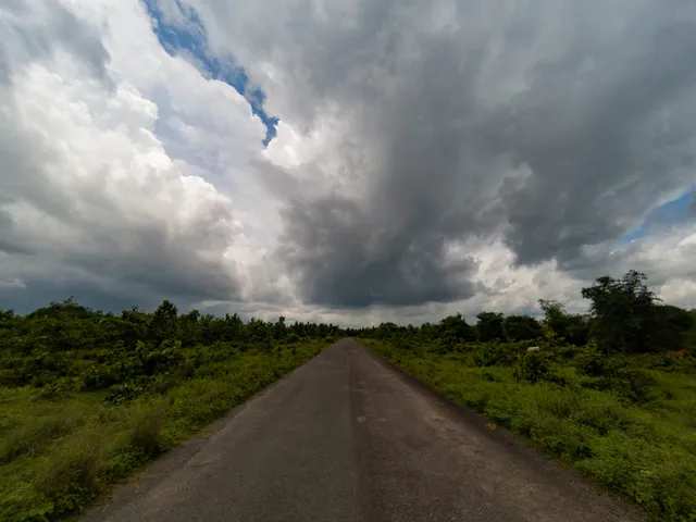 Thumbnail for ynd-cwkb-fmt