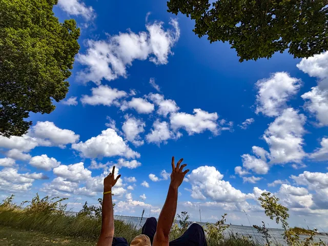 Thumbnail for snx-xilr-bvs