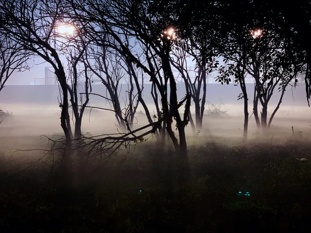 Thumbnail for dsw-lgfz-bnx