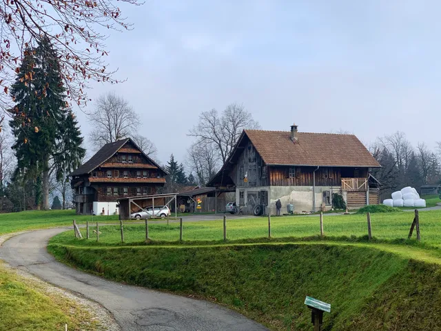 Thumbnail for swo-tbpr-bvs