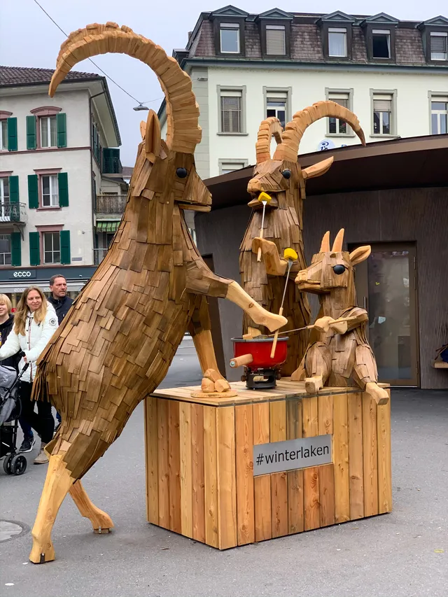 Thumbnail for bxv-coth-olf