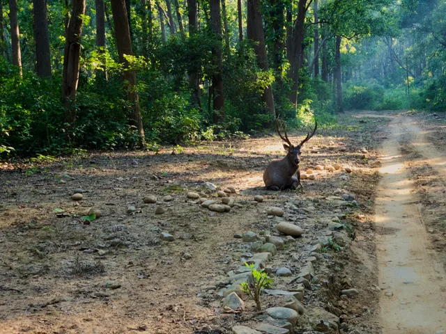 Thumbnail for jmc-uahd-owi