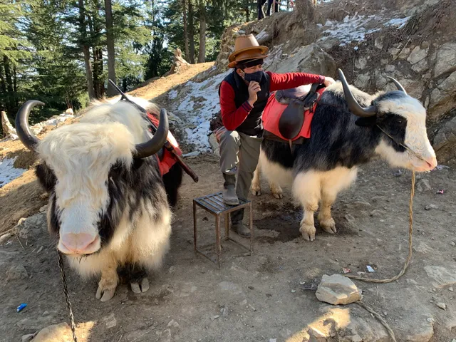 Thumbnail for acd-face-ejb