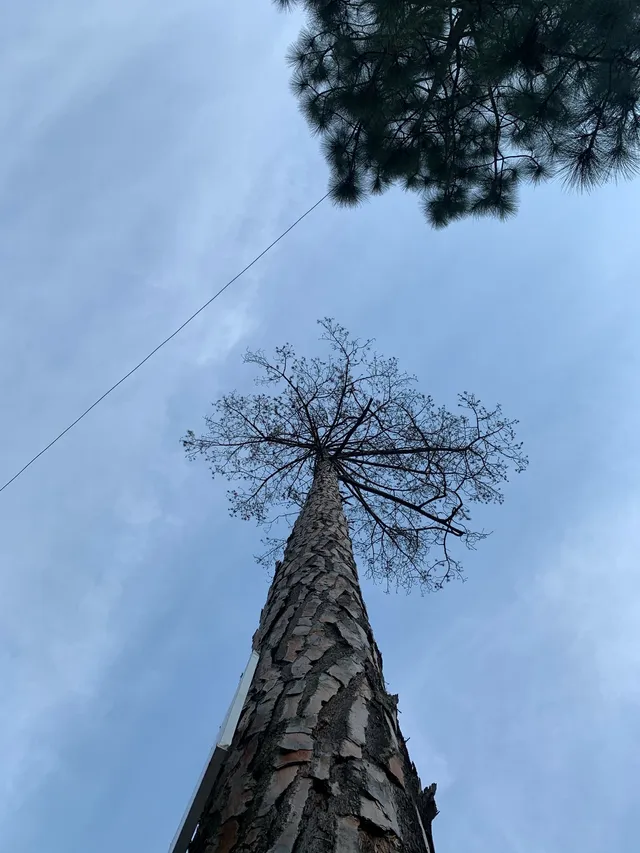 Thumbnail for env-hsvm-srs