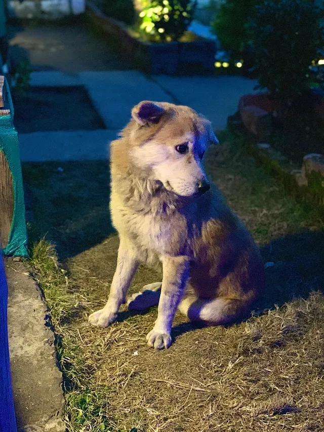 Thumbnail for phi-bghr-uco