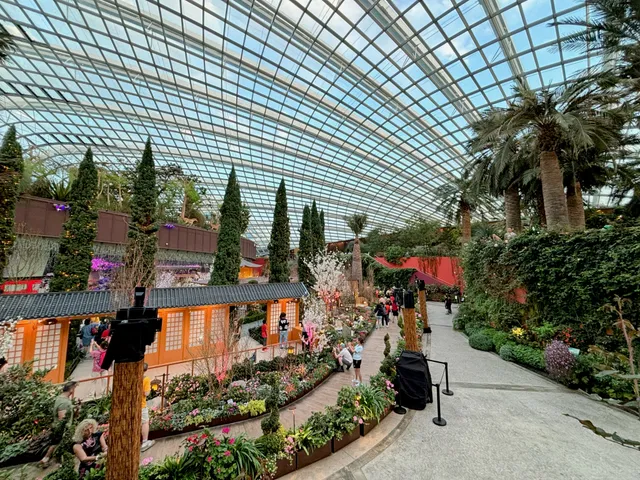 Thumbnail for boh-njup-wlf