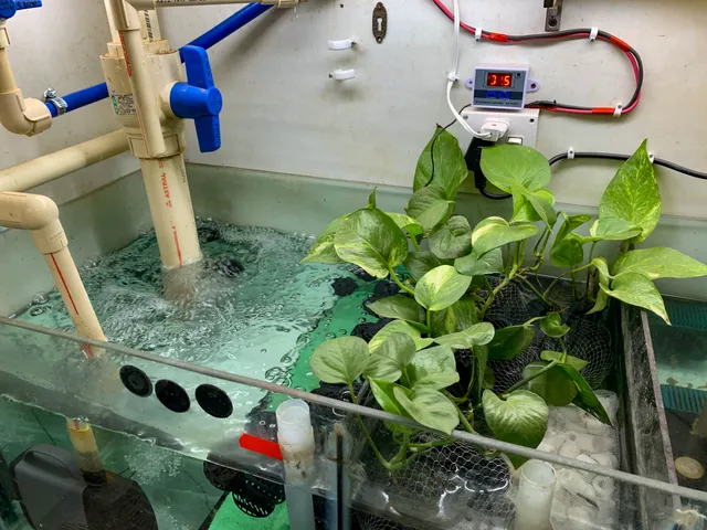 Thumbnail for umf-kxmv-xgq