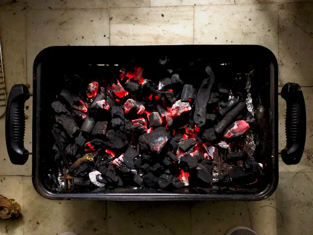 Thumbnail for chx-nddy-sbx