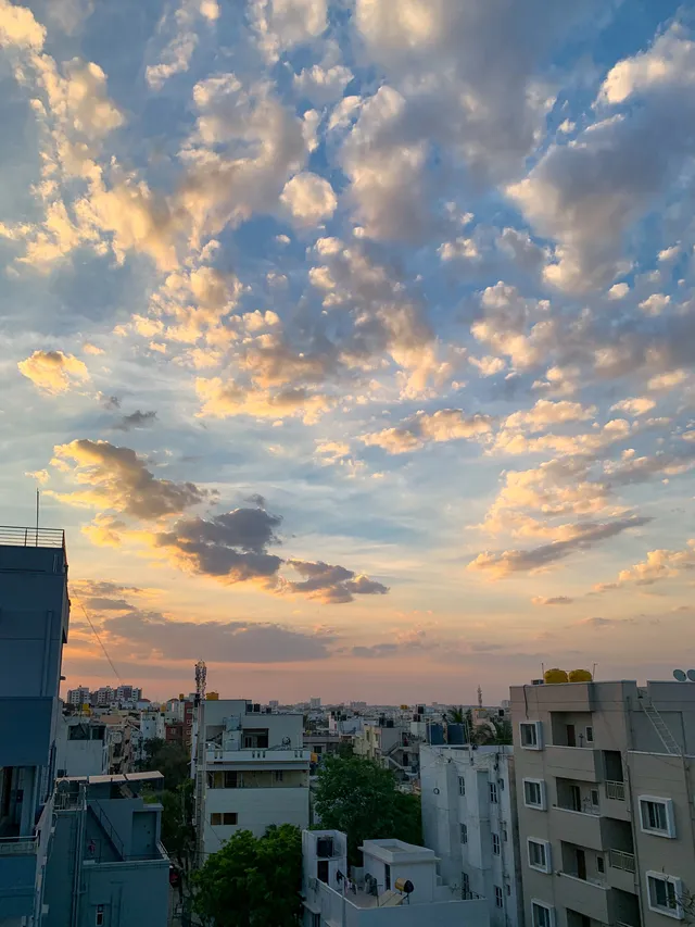 Thumbnail for aup-daqo-djb