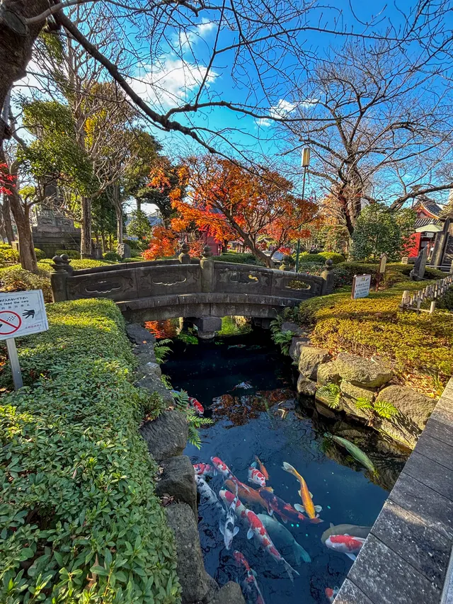 Thumbnail for lwr-cojb-dpb