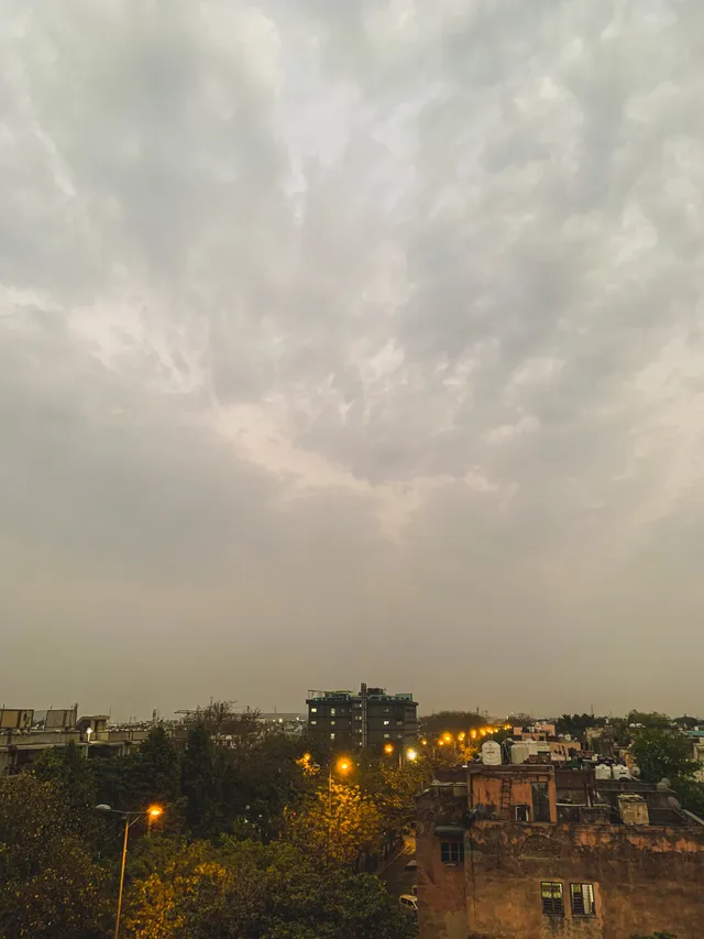 Thumbnail for vgp-bayb-jqc