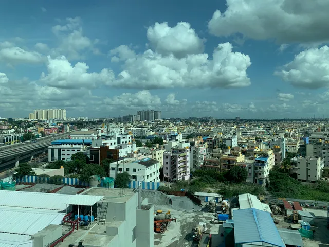 Thumbnail for elz-heni-mrs