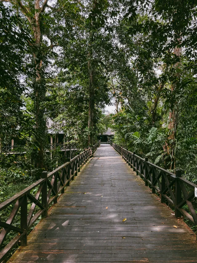 Thumbnail for lox-ixhy-fdp