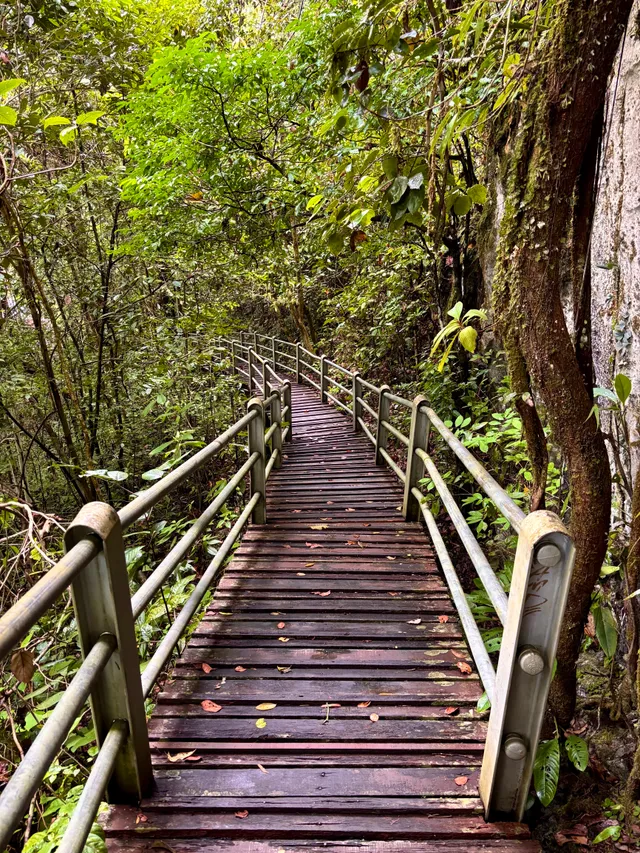 Thumbnail for mnf-fvqq-zto