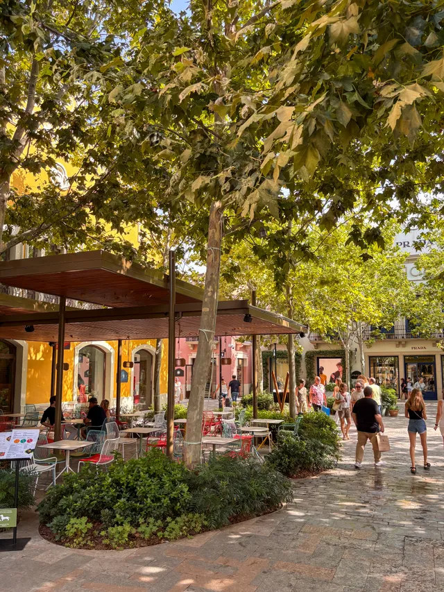 Thumbnail for ptz-axob-cov