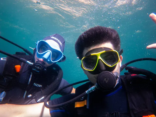 Thumbnail for wgt-cxkz-zhu