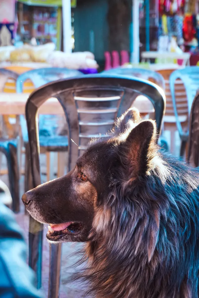 Thumbnail for hck-ilpq-wou