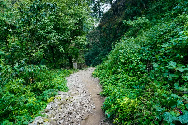 Thumbnail for mhu-bvpy-bto