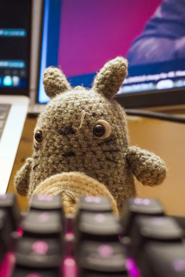 Thumbnail for nuo-wepq-nan