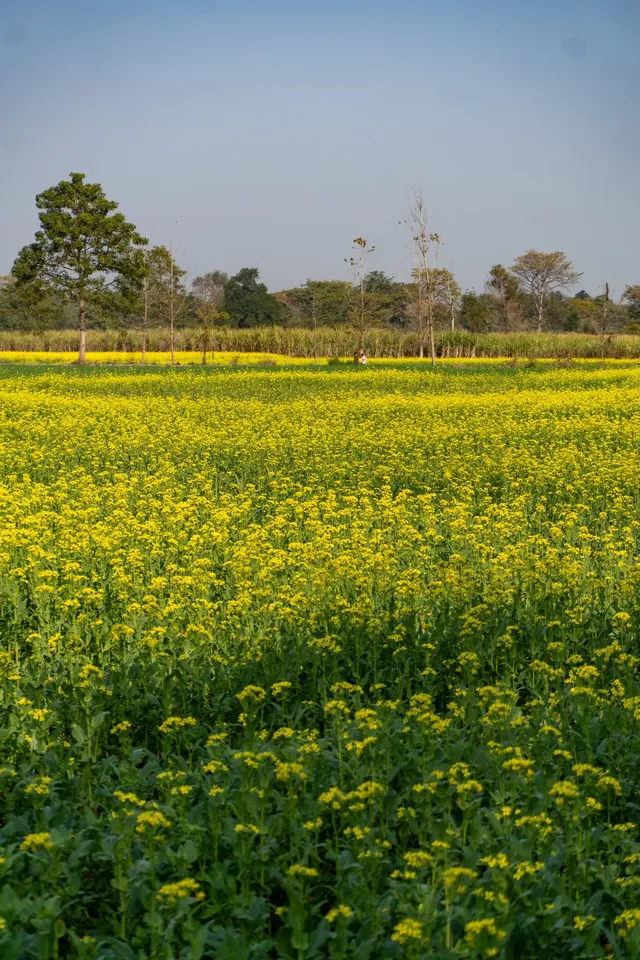 Thumbnail for rqj-ipaa-kxo