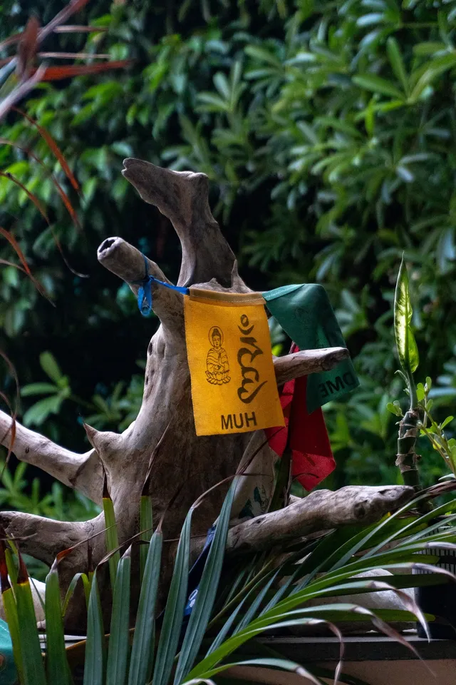 Thumbnail for boi-njkp-slf