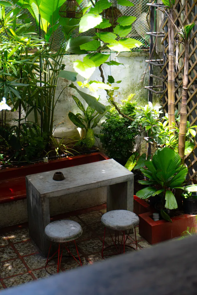 Thumbnail for zag-saya-lfs